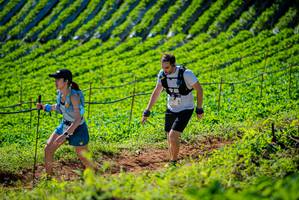 BIB: 
                            <button type="button" onclick="openModal(19161410)" class="btn btn-primary btn-sm float-right btn-popup" data-toggle="modal" data-target=".modal-high-quality">
                        <i class="fas fa-shopping-cart"></i> Add to Cart
                    </button>
                                            <button type="button" onclick="isThisMe(19161410, true)" class="btn btn-success btn-sm float-right btn-popup btn-isme hidden" data-toggle="tooltip" data-placement="bottom" title="นี่คือรูปของคุณใช่ไหม คลิกที่นี่เพื่อเอาเข้าอัลบั้ม">
                        <i class="fas fa-plus"></i> Add to album
                    </button>
                    <button type="button" onclick="isThisMe(19161410, false)" class="btn btn-warning btn-sm float-right btn-popup btn-isnotme hidden">
                        <i class="fas fa-ban"></i> Remove from album
                    </button>